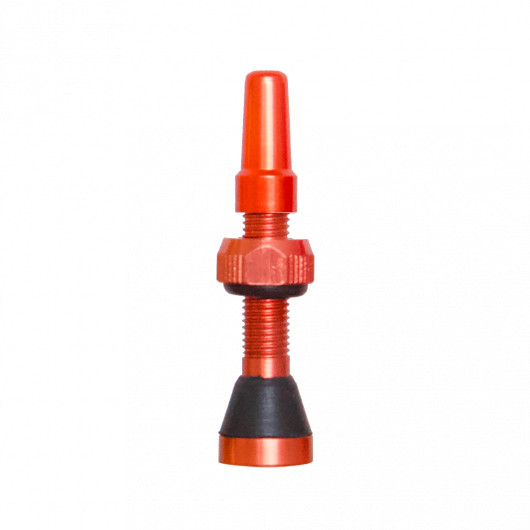 Colour Tubeless Valves - 34mm - Image 5