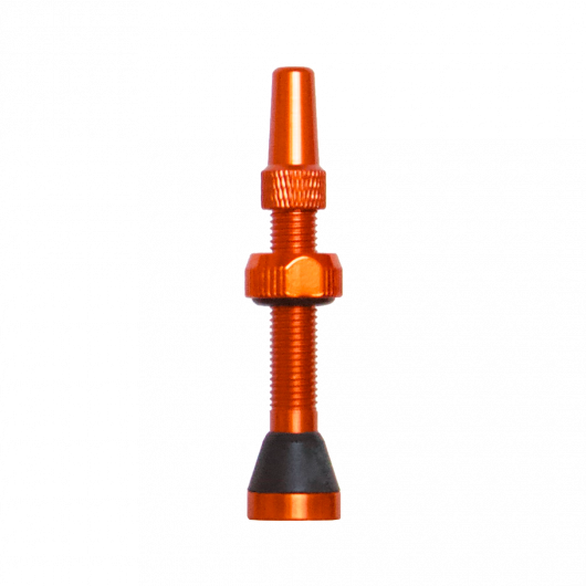 Colour Tubeless Valves - 40mm - Image 5